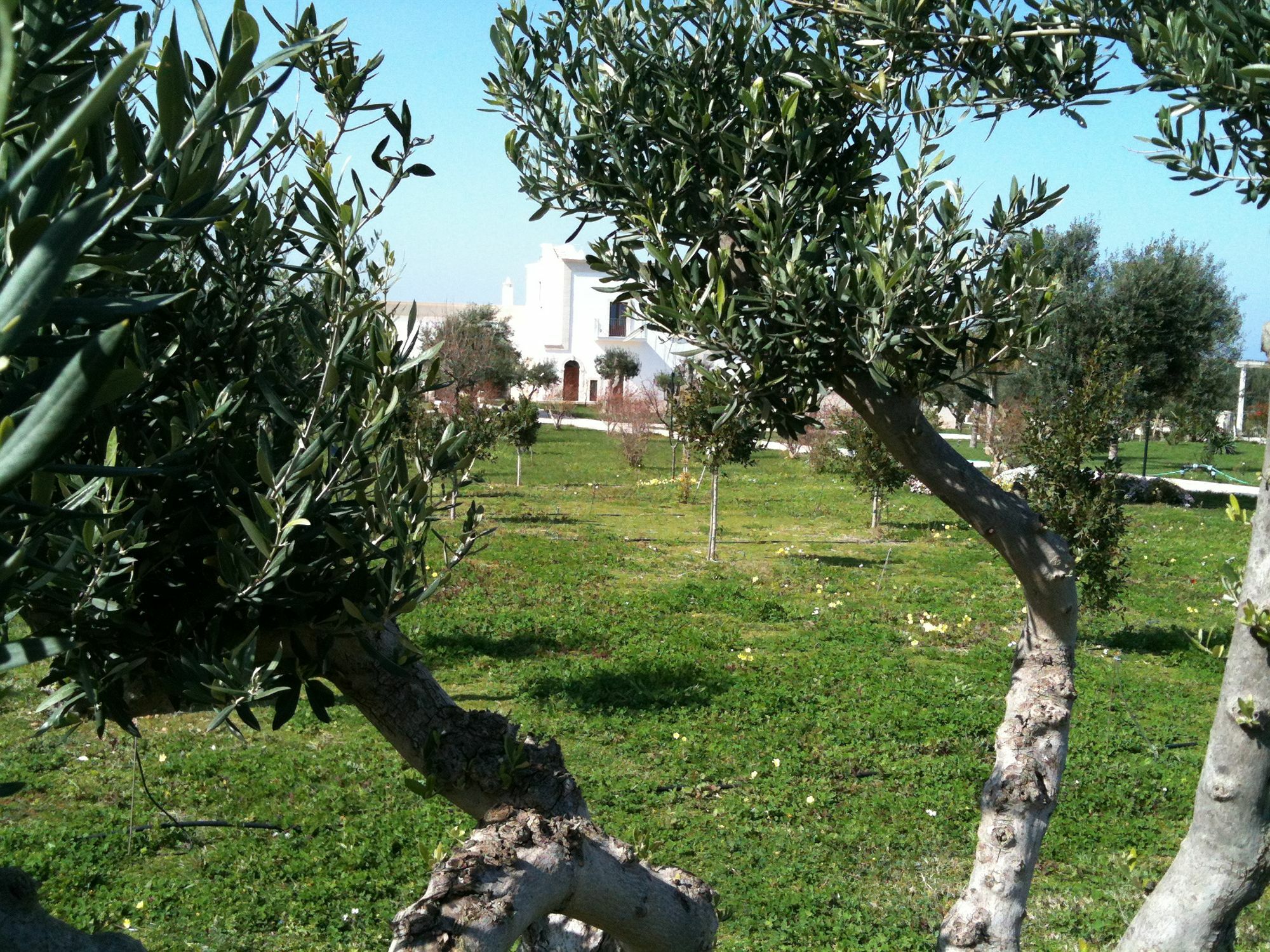 Casale Del Murgese Country Resort Savelletri Dış mekan fotoğraf